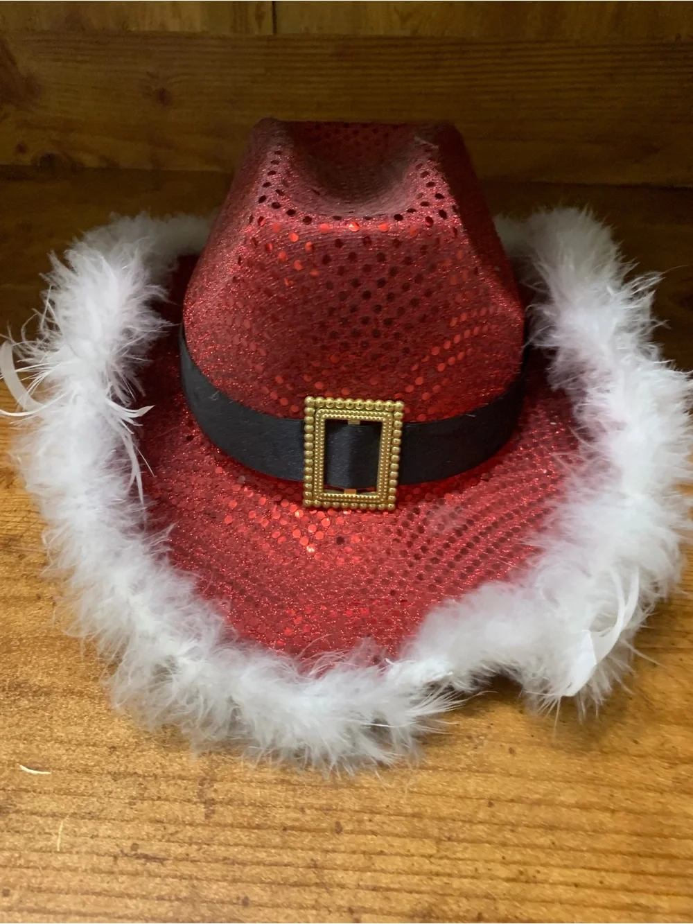 Red Sequin Feather Trim Fedora Hat - Festive Women’s Accessory